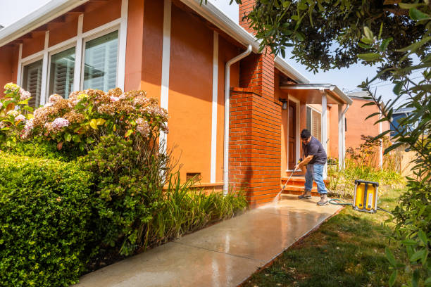 Best Local Pressure Washing Services  in Creighton, NE